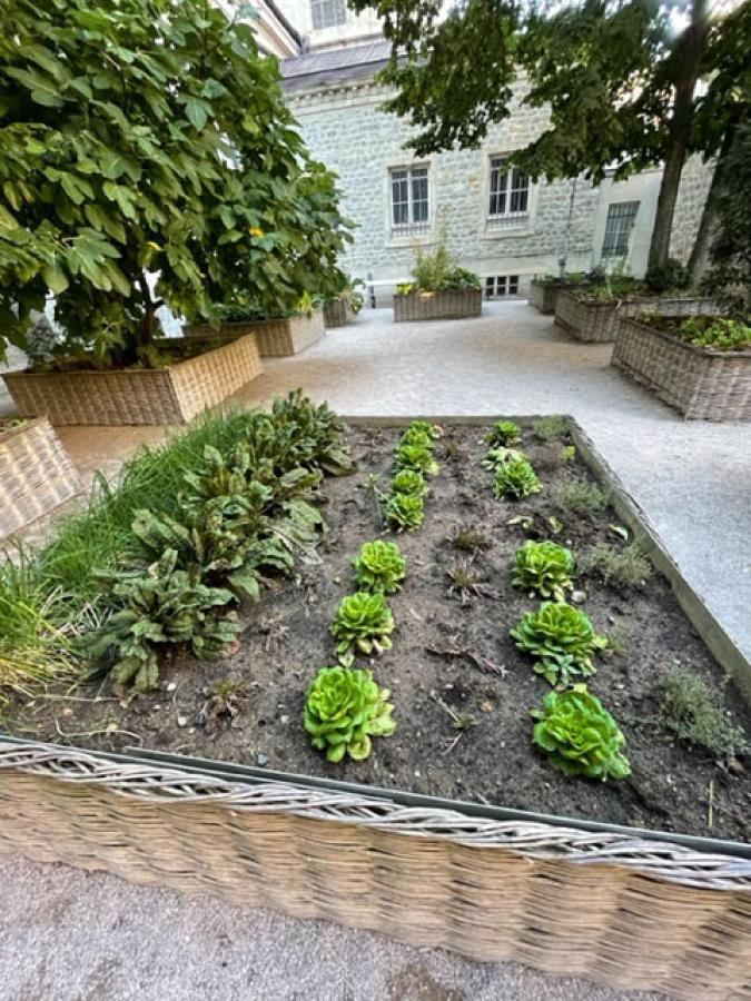 Au Jardin De La Basilique Διαμέρισμα Μπουλόν-Σιρ-Μερ Εξωτερικό φωτογραφία
